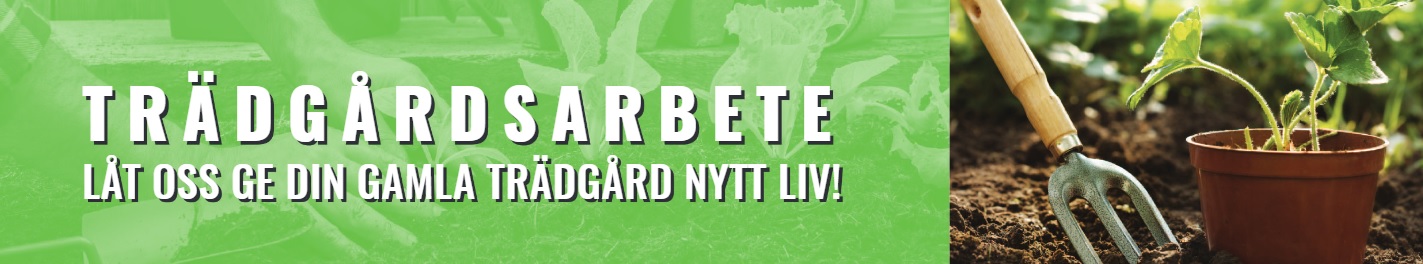 Trädgårdsskötsel Malmö
